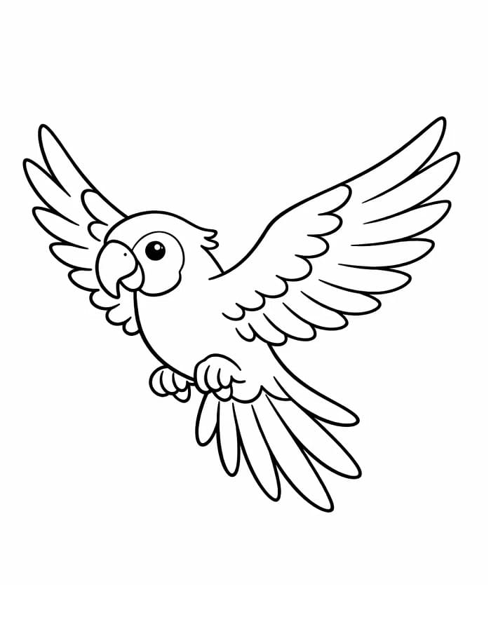 Pappagallo Semplice da colorare