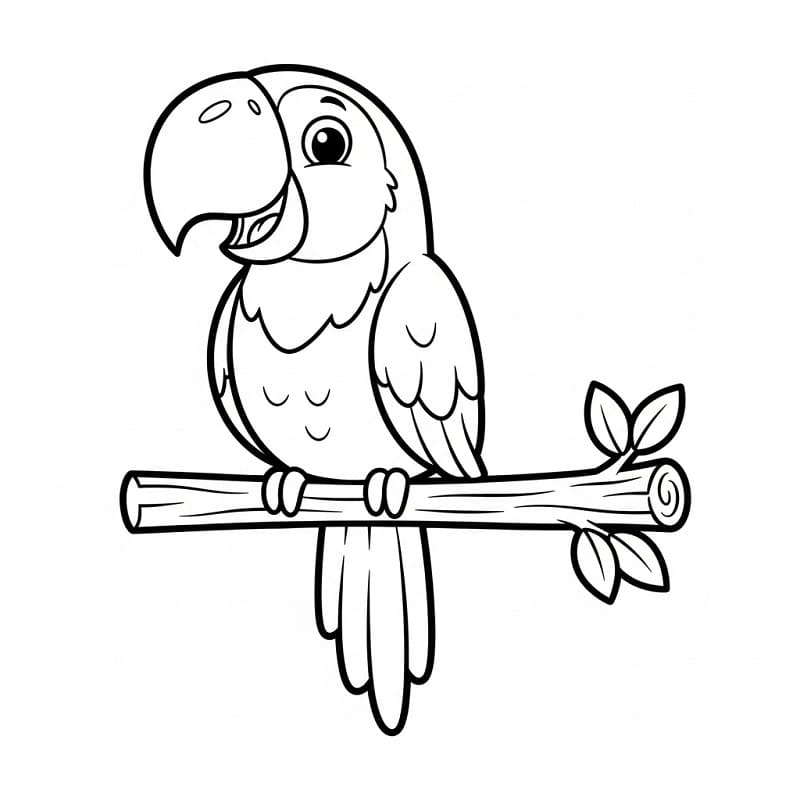 Pappagallo Stampabile Gratis da colorare