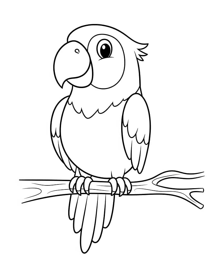 Pappagallo Stampabile da colorare