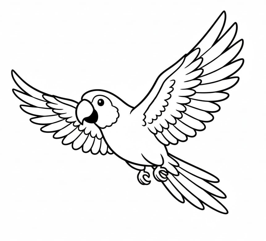 Pappagallo Straordinario da colorare