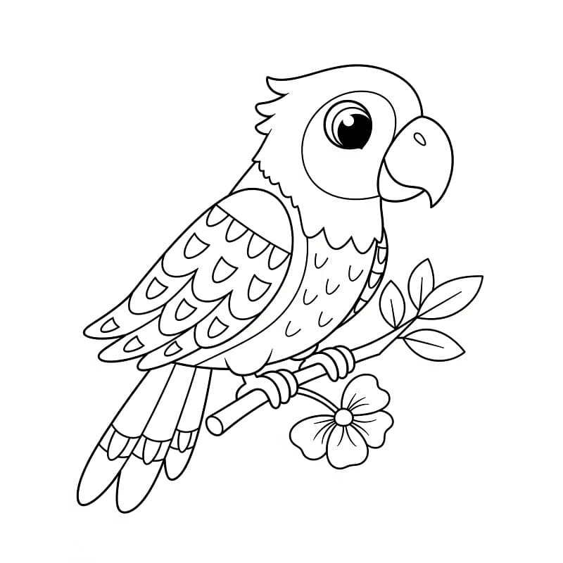 Pappagallo per Bimbi da colorare