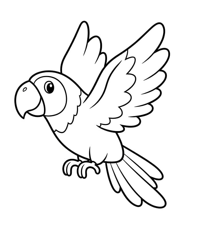 Pappagallo da colorare