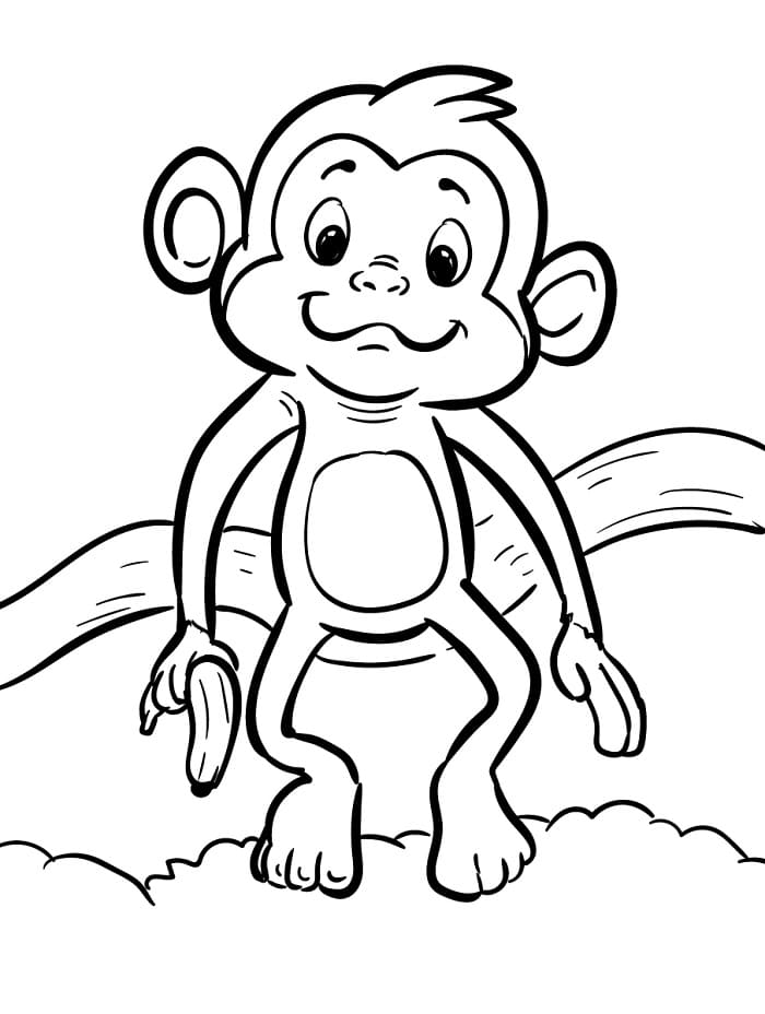 Scimmia Animata da colorare
