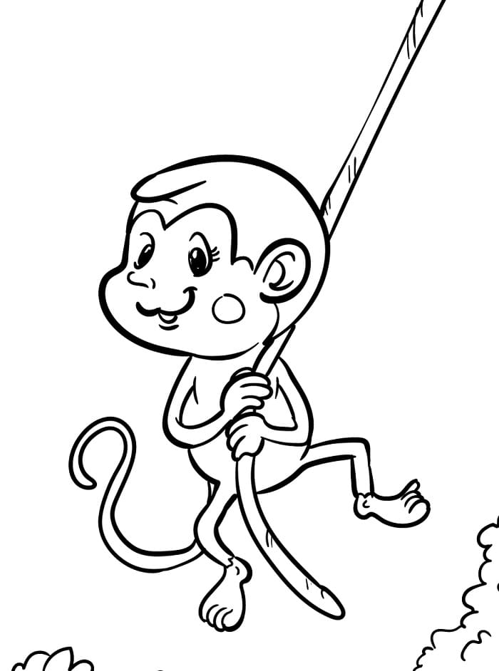 Scimmia Cartone da colorare