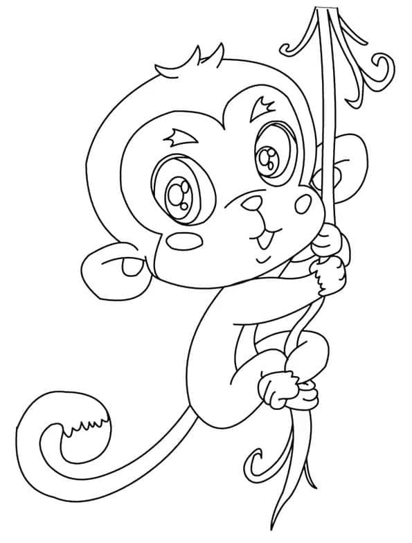 Scimmia Immagine Stampabile da colorare