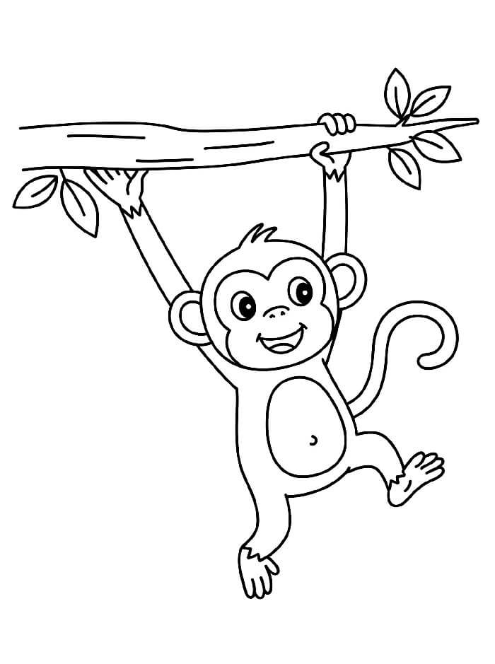 Scimmia Stampabile per Bambini da colorare