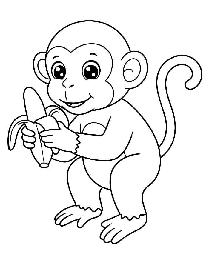 Scimmia per Bimbi di 1 Anno da colorare