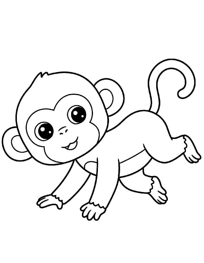 Scimmia per Bimbi di 3 Anni da colorare