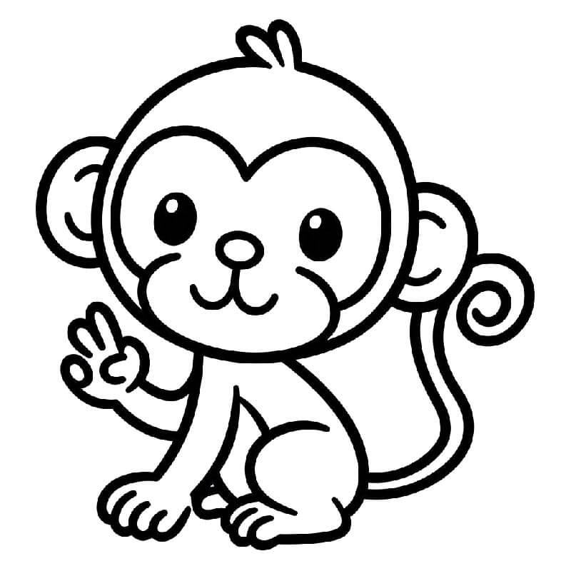 Scimmia per Bimbi di 5 Anni da colorare