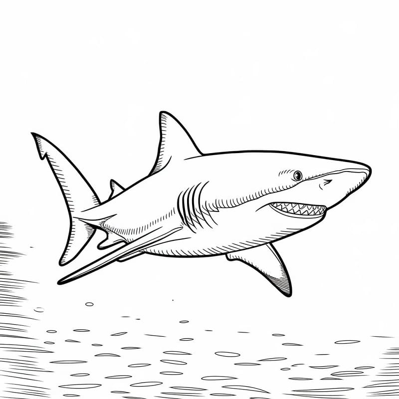 Squalo (2) da colorare