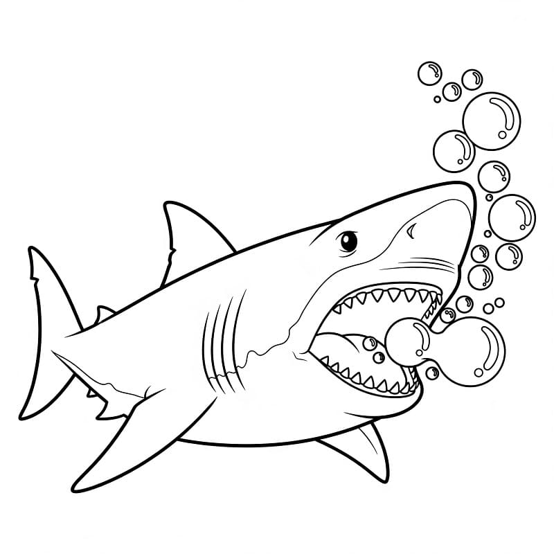 Squalo (4) da colorare