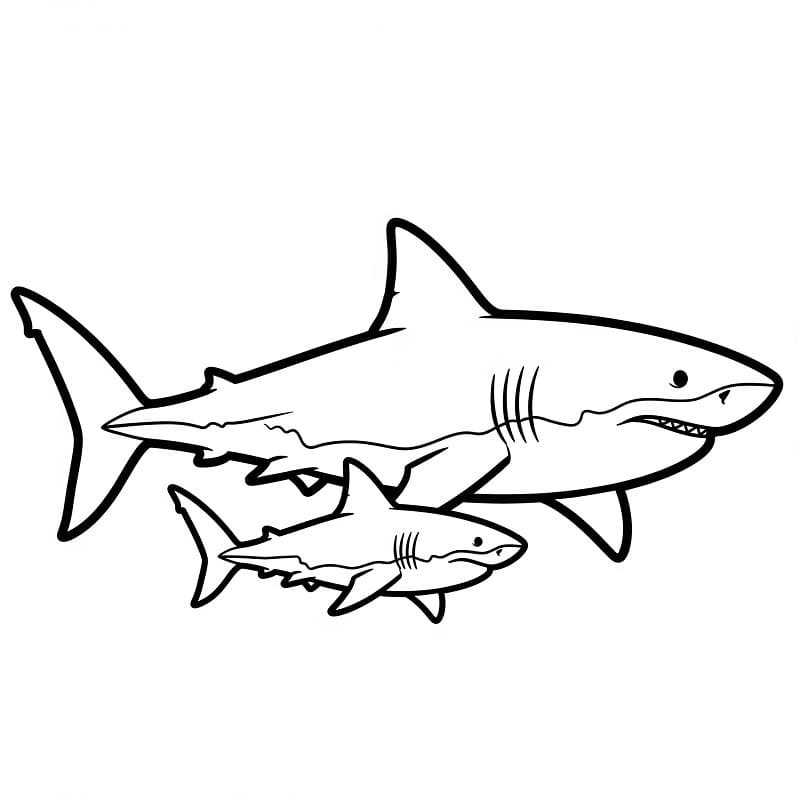 Squalo Cartone da colorare