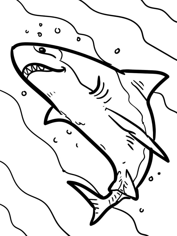 Squalo Immagine Stampabile da colorare