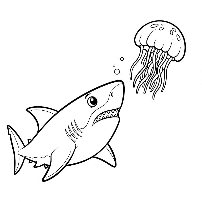 Squalo Regalo da colorare