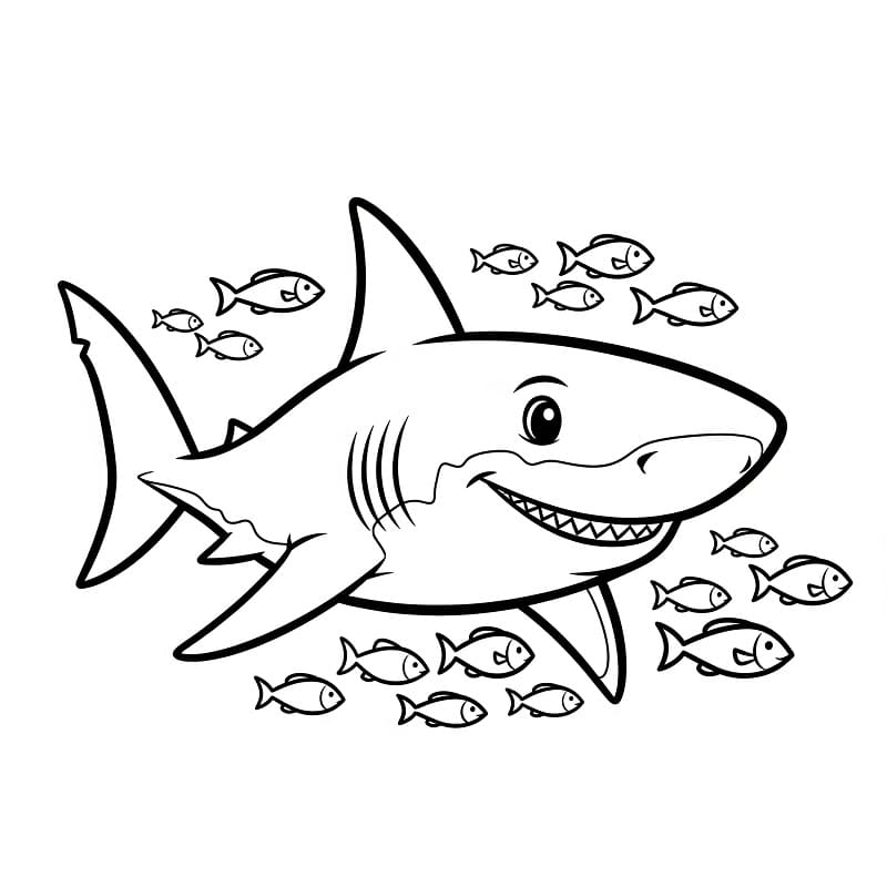 Squalo da Stampare da colorare