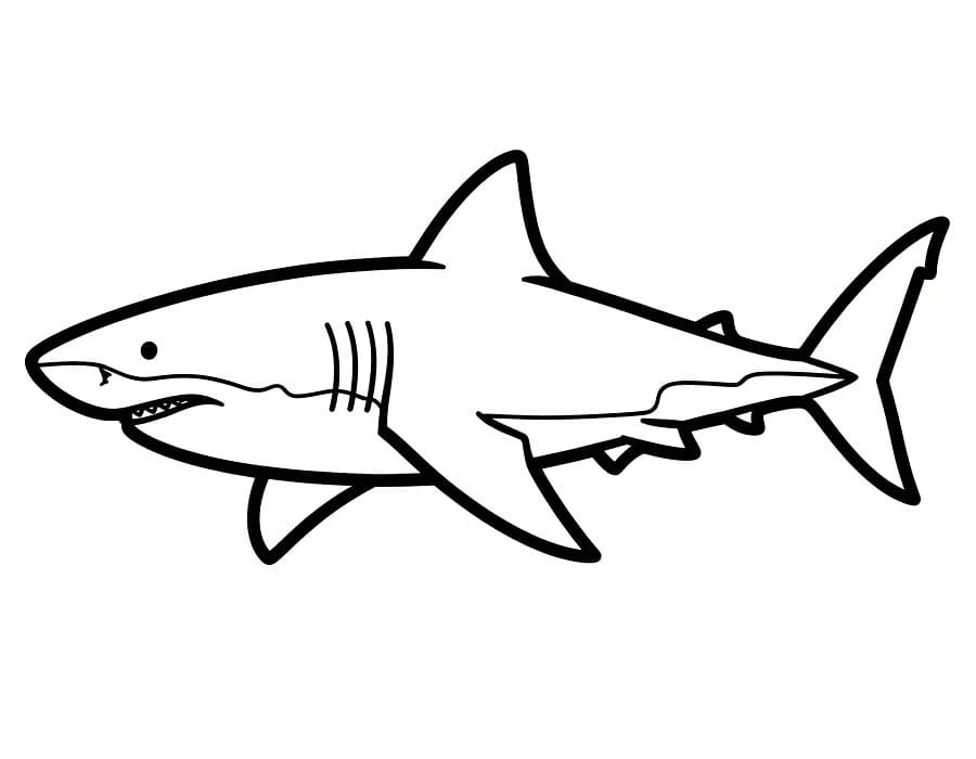 Squalo normale da colorare