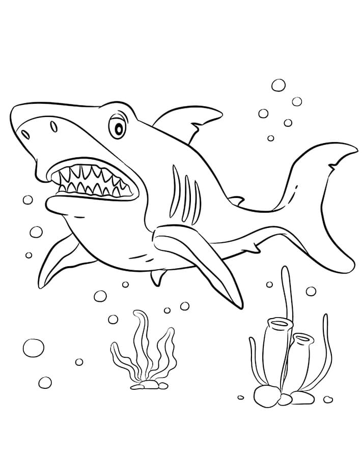 Squalo nuotatore da colorare