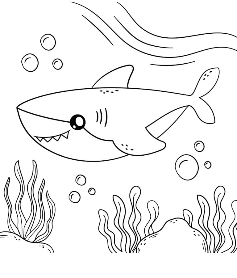Squalo per Bimbi di 2 Anni da colorare