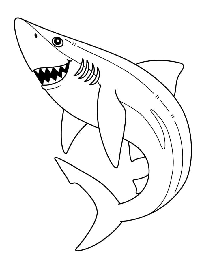 Squalo per Bimbi di 6 Anni da colorare