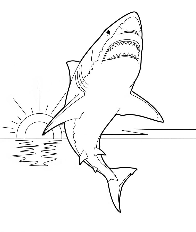 Squalo saltatore da colorare