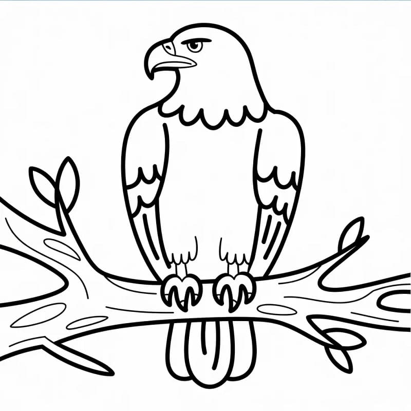 Stampa Aquila da colorare