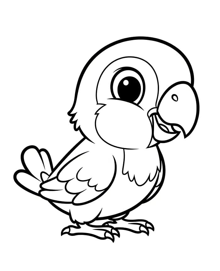 Stampa Pappagallo da colorare