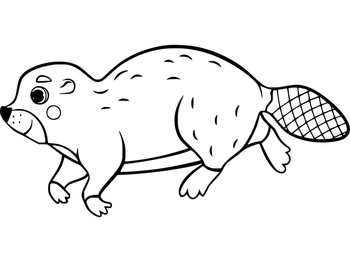 Stampabile Gratis Castoro da colorare