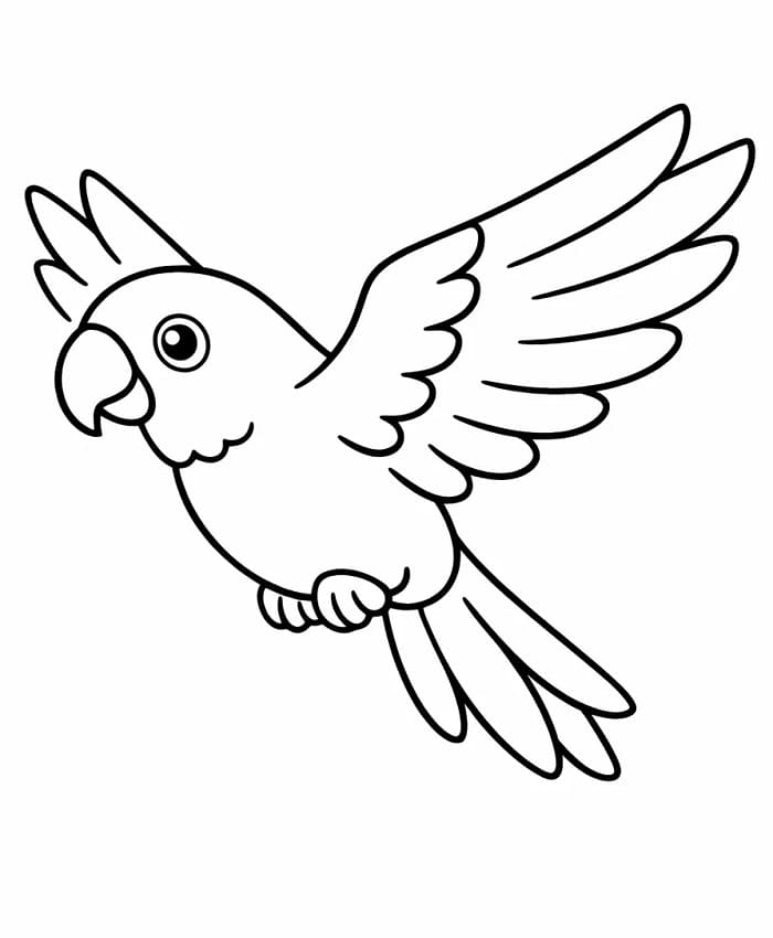 Un Pappagallo da colorare