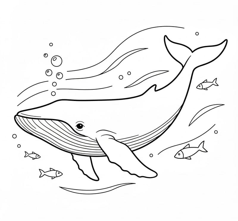 Una Balena Dolcissima da colorare