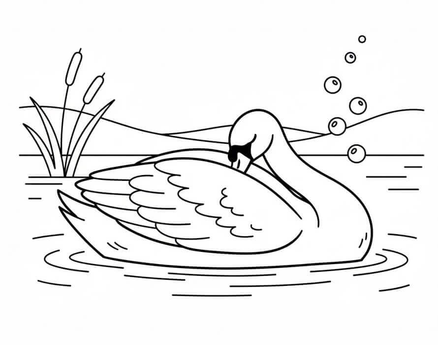Cigno 2 da colorare