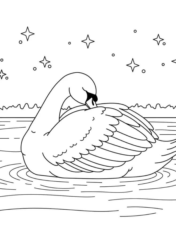 Cigno Cartone da colorare