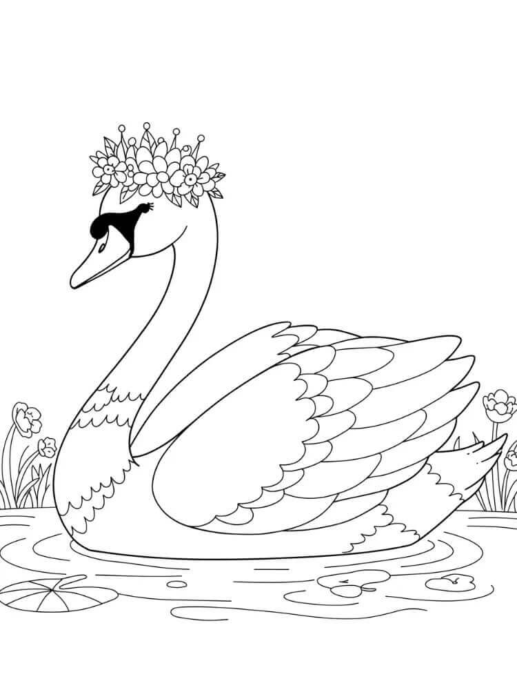 Cigno Facile da colorare