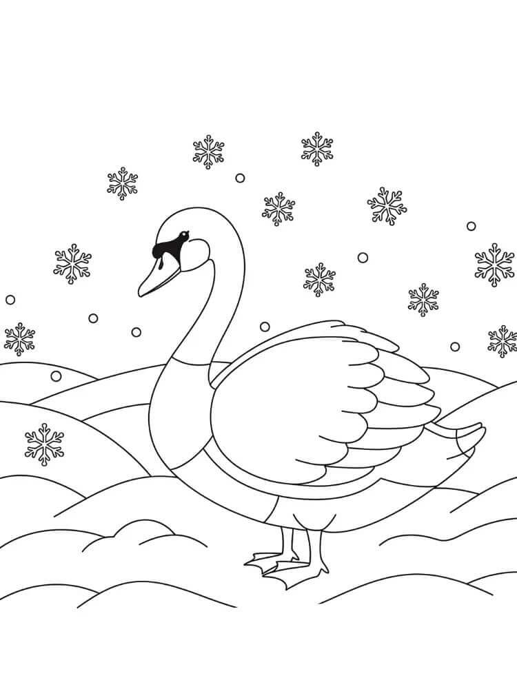 Cigno Gratuito da colorare