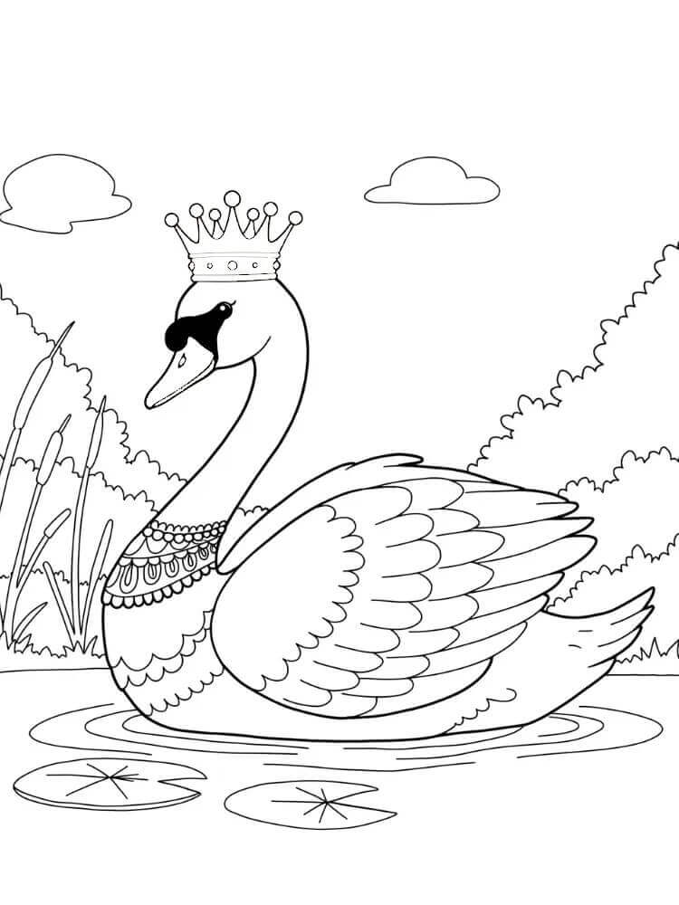 Cigno Immagine Gratis da colorare