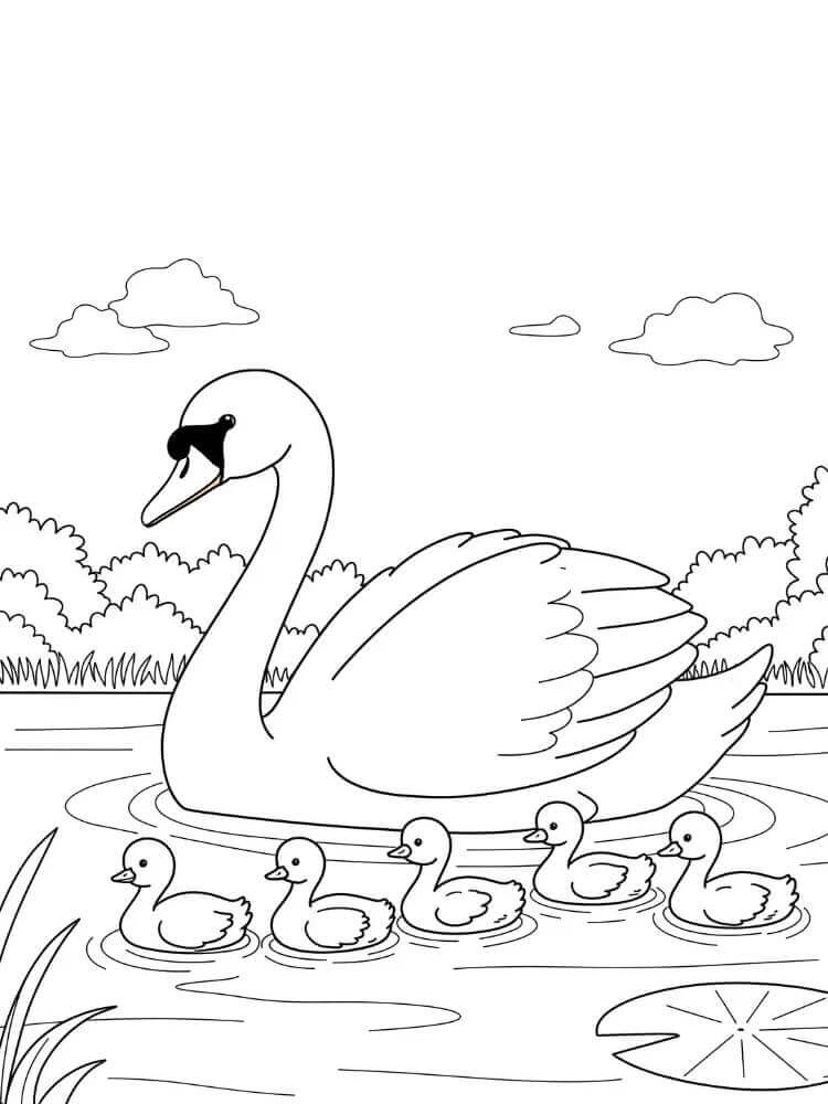 Cigno Immagine Stampabile da colorare