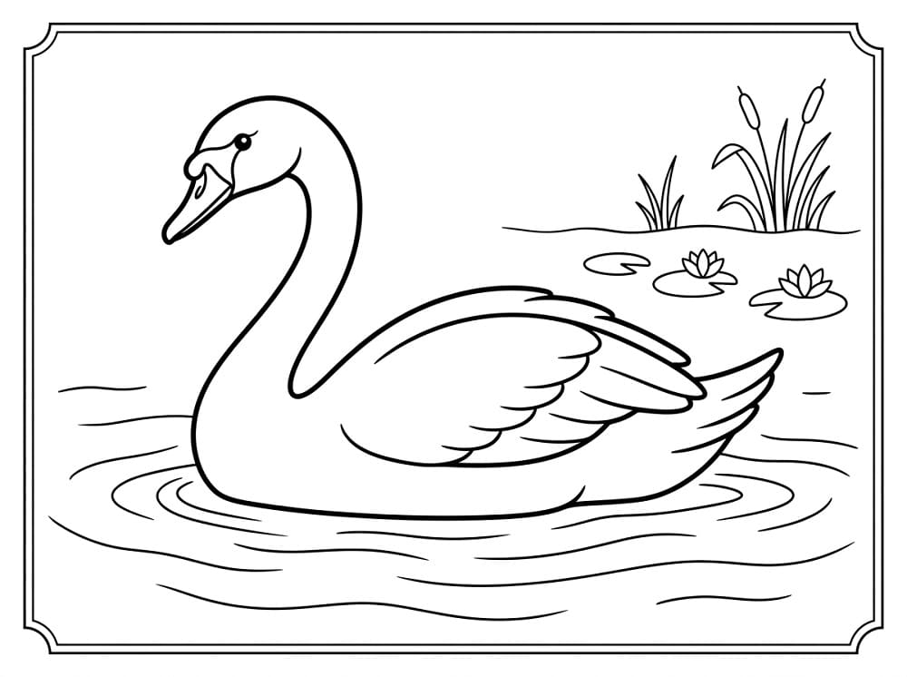 Cigno Splendido da colorare