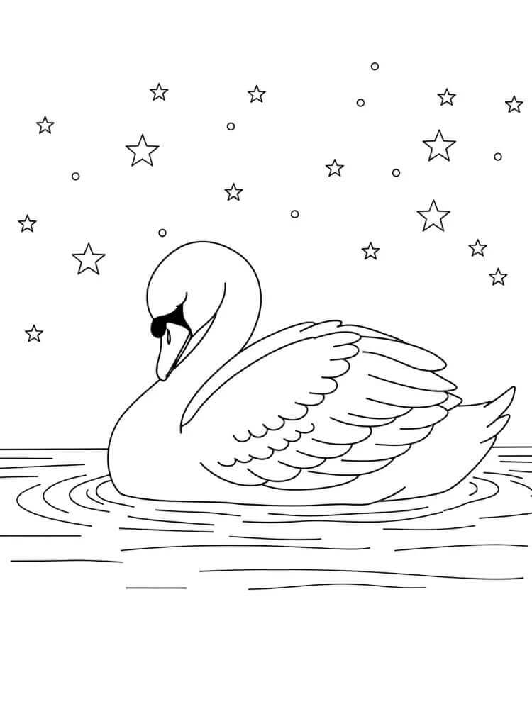 Cigno Stampabile da colorare