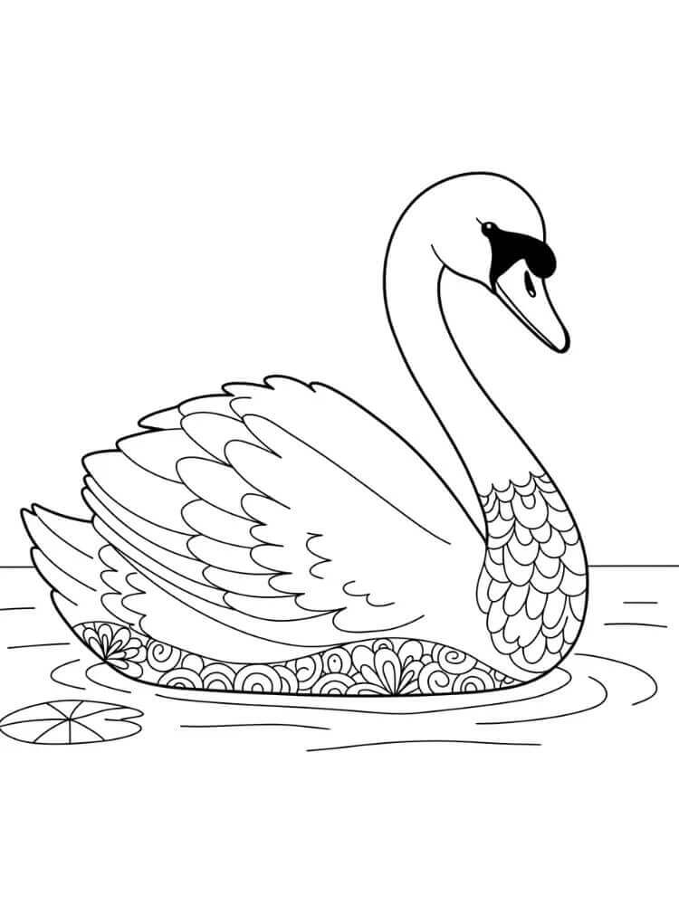 Cigno Straordinario da colorare