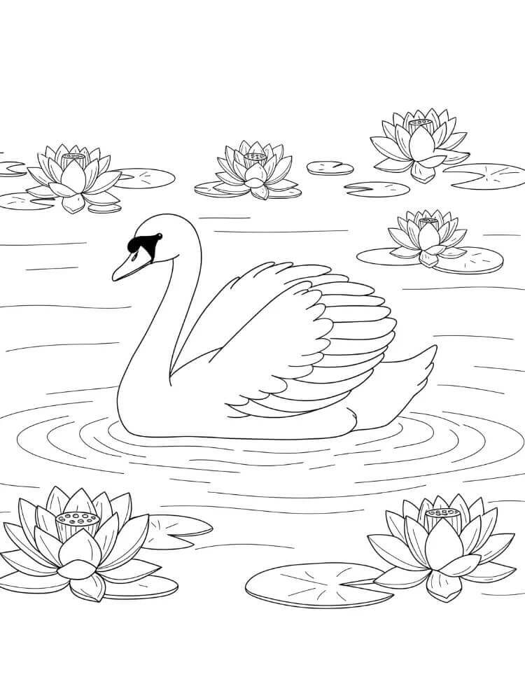 Cigno per Bimbi da colorare