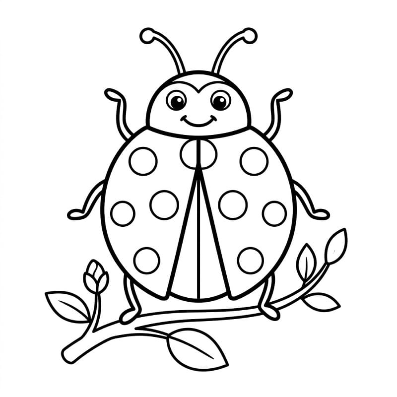 Coccinella Animata da colorare