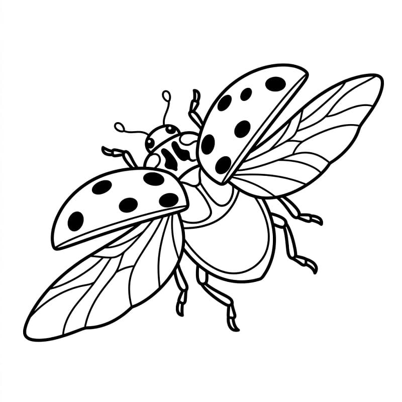 Coccinella Carina da colorare