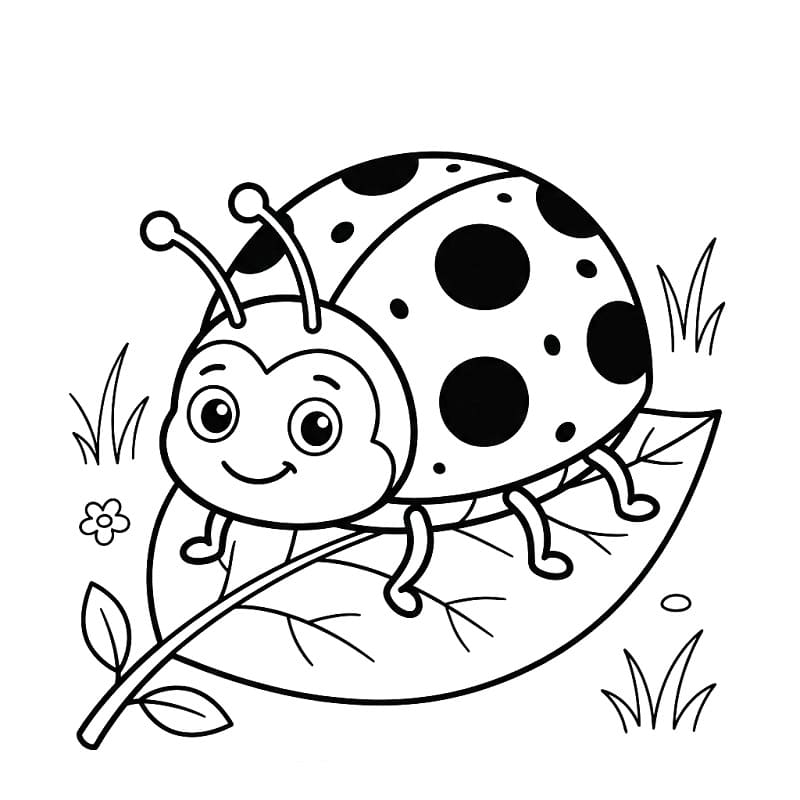 Coccinella Elegante da colorare