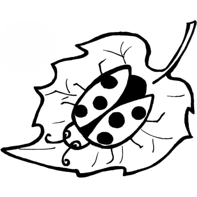 Coccinella Immagine Gratis da colorare