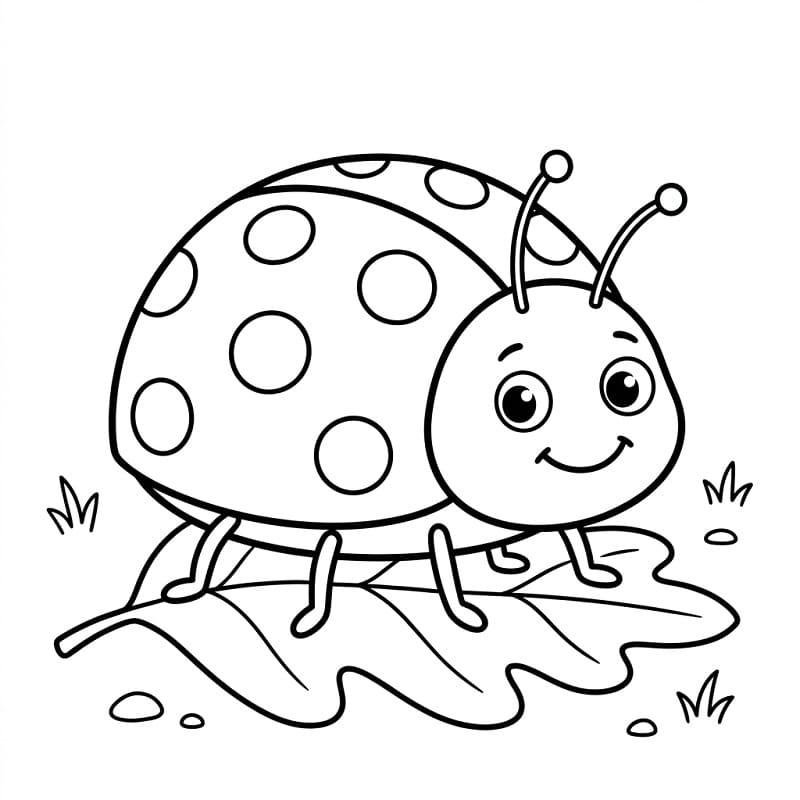Coccinella Piccola da colorare
