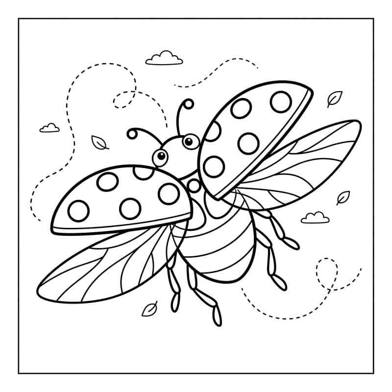 Coccinella Tenerissima da colorare