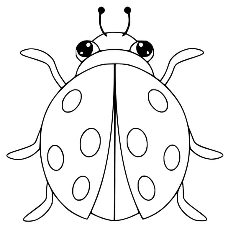 Coccinella da colorare
