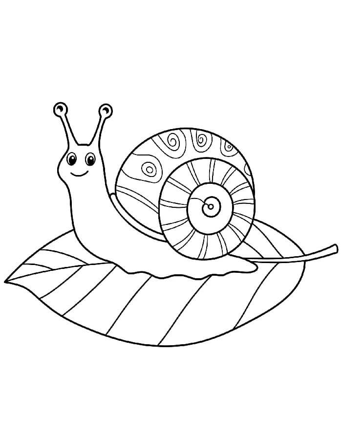 Gratis Lumaca Stampabile da colorare
