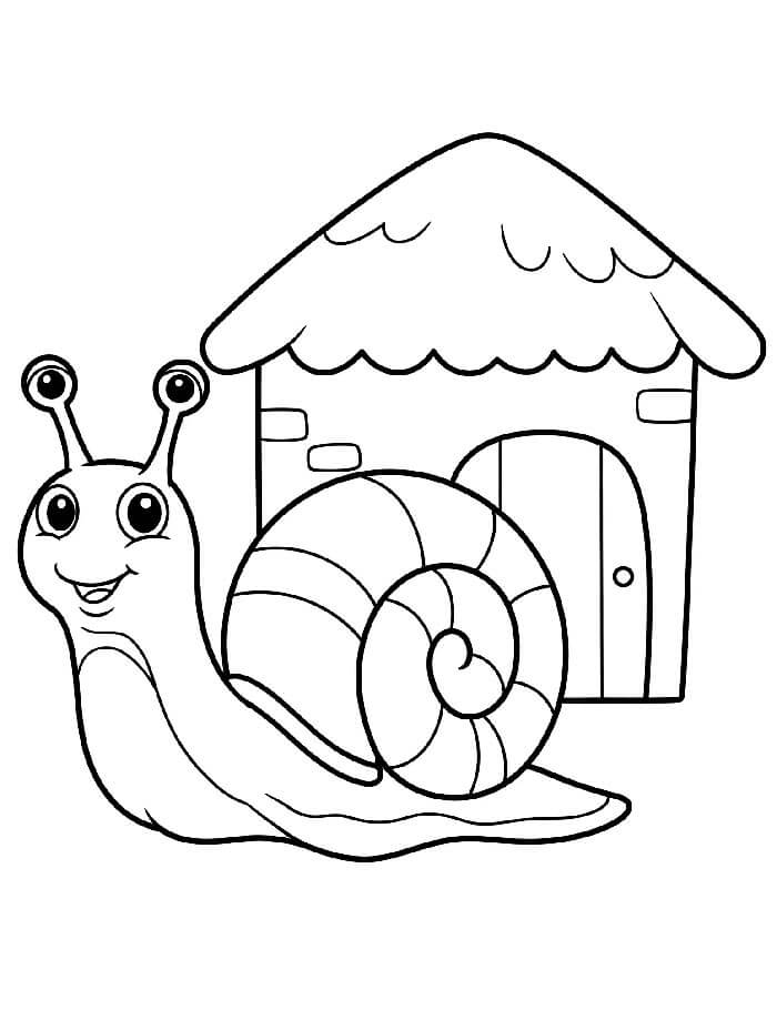 Gratis Lumaca da Stampare da colorare
