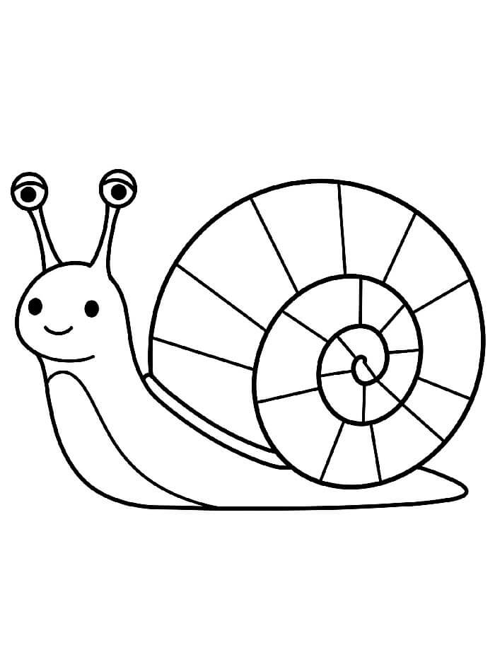 Gratis Lumaca per Bimbi da colorare