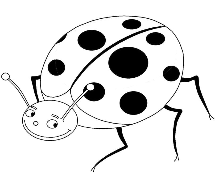 Immagine Coccinella da colorare